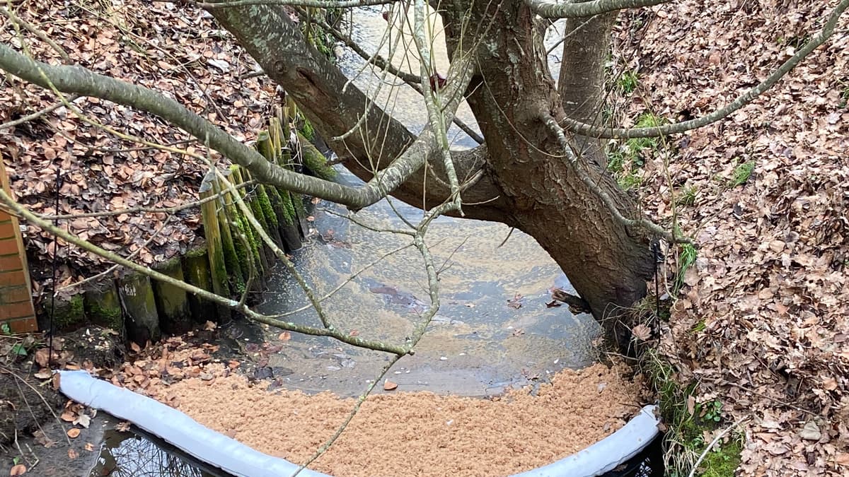 Diesel leak into stream at Aldi in Petersfield